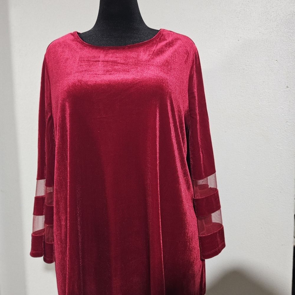 Investments Rich Red Velvet Tunic with Sheer Sleeves
